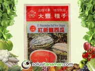 Semangka Red Dragon F1@20gr - Biji Benih Buah Bibit Tanaman Hidroponik