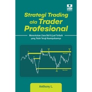 Professional Trader Style Trading Strategy Book - Anthony L.
