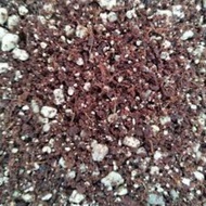TANAH CACTUS & SUCCULENT Campuran Terbaik | Cactus Succulent Soil Mix CACTUS SOIL