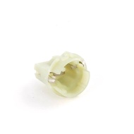 Tail Lamp Base Bulb Socket BMW OE (1 Piece)