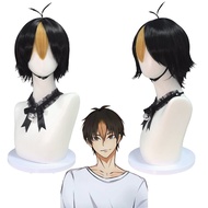 Nishitani cos Wig Smooth Hair Volleyball Boy Nishitani Comic Show Role-Playing Wig [cxS]