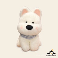 Chubby penguin Birthday Gift Girls Give Girlfriends Give Girlfriends High-End Tanabata Valentine's D