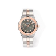 a Snow Mountain Proud Wing Series
Like the light of a torch，Compared to the Starlight of the Dark Ni