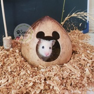 Hamster Hideout | Hamster house | Hamster house | Hamster cage decoration | Hidding cave gecko repti
