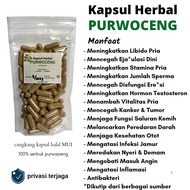 kapsul purwoceng isi 100 kps / purwaceng kapsul / herbal purwoceng / serbuk purwaceng / sistem imun