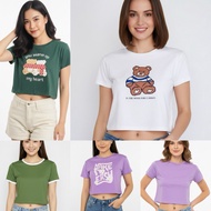 Colorbox Women's Croptee T-Shirt J40276 J40277 J40287 J40291 J40298 J40285 J40286