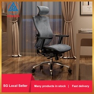 Ergonomic Office Chair - [SG Ready Stock] Rolling Home Desk Chair with 4D Adjustable Armrest, 3D Lumbar Support - Chair