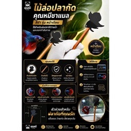 Betta Fish Lure "Black Wild Smooth Surface" Chanel Bear Mahachai Small Size 3-4 Cm. Estimated