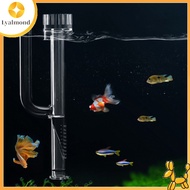 LYD Mini Glass Lily Pipe Skimmer Inflow Filter System Aquarium Fish Tank Supplies Accessories
