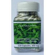 1 Bottle-120 Halal Capsules 350mg - Organic Clinicanthus Nutans-Sabah Snake Grass