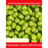 New Product Mung Bean 3kg Sichuan Farm Freshly Fermented Bean Sprouts Available Fresh Mung Bean Soup