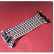 Dupont Line Male to Male Head Line Length 20CM Pitch 2.54mm