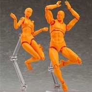 【Ready Stock】Action Figure Mannequin SHF Figures Body Kun Action Figure Body Chan SHFiguarts Girl Ma
