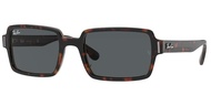 Rb2189 Benji Rectangular Sunglasses