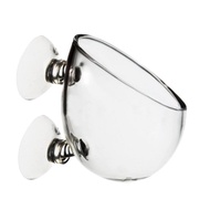 Anemone and Aquatic Plant Cup Holder - Glass - Freshwater and Saltwater