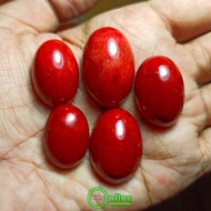Original NATURAL MARJAN RED CORAL