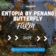 [PROMO 2024] Entopia By Penang Butterfly Farm Ticket [PM FIRST FOR PROMO]