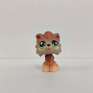 【Ready Stock】littlest pet shop Pets Doll Cat Dog Chihuahua Figure Toys littlest pet shop house littl