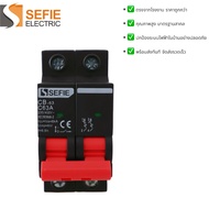 Circuit Breaker MCB – 1P/2P/3P/4P, 6A–63A, AC 230V/400V