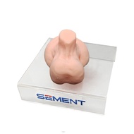 Ultrasound-Guided Testicular Biopsy Model, Ultrasound-Guided Testicular Biopsy Puncture Training, Te