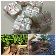 lastik polybag semai benih cabe kecil 6x7 isi 900-1000 polibeg bibit