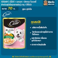 Cesar ซีซาร์ อาหารเปียกสุนัขแบบซอง ทุกสูตร 70 กรัม(X16ซอง)