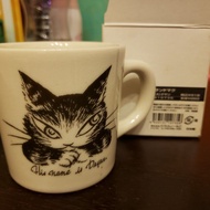 Wachifield Dayan Cat 達洋貓 瓷杯 水杯 Mug 日本製 Made in Japan