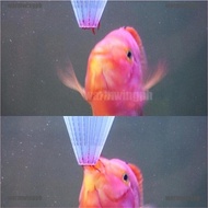4pcs Aquarium Red Worm Feeder Cone Feeding for Fish Tank Angel Fish Discus Fish warmw