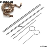 MOLIH 6pcs Snake Sexing Probe, Stainless Steel Anti Allergy Snake Probe Kit, Safe 5 Different Sizes 