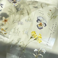 ［Pion］Embossing PET Tape（1 cycle）