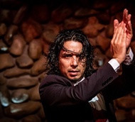 Malaga: Authentic Flamenco Show at El Gallo Ronco