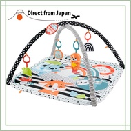 Fisher-Price Sensory Development! Exciting Musical Otter Gym for Babies Play Mat from 0 Months HBP41
