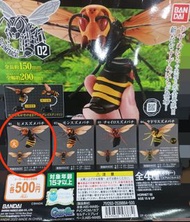 絕版 , 昆蟲扭蛋 , no.1 , 超巨型大黃蜂 , 女王蜂 , 蜜蜂 , bandai