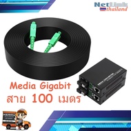 100 เมตร + Gigabit Media Converter 10/100/1000 Mbps (สายมีลวดสลิงแบบ outdoor)