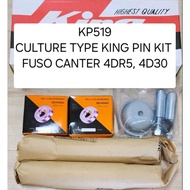 KING PIN KIT FUSO CANTER 4DR5, 4D30