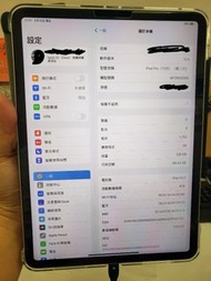 ipad pro 11 (2020) 128GB  wifi  + Cellular with new unique case