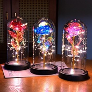 Glitter rose gift box in glass box + meaningful DIY gift box for anniversaries - S0942