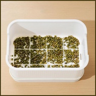 Sprouter Tray Soil-Free Pea Sprouter with Lid Cultivation Germination Tray for Bean Pea Wheatgrass G