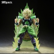 SHF 龍珠 布洛尼 nycc