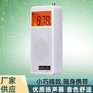Manufacturer supplies mini portable digital display radio with replaceable and digital demodulation 
