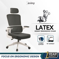 Desiny Ergonomic Office Chair Mesh Study Chair Lumbar Support Computer Chair