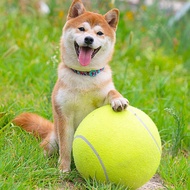 Pet Tennis Ball Elastic Inflatable Training Ball Toy Toy Outdoor Ball Chase Interactive T9l9