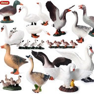 Farm Animals Simulation Poultry Goose Swan Duck Group Gaggle Model Action Figure Figurines PVC Lovel