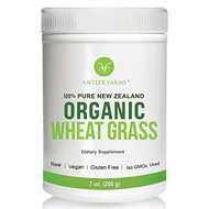 [USA]_Antler Farms - 100% Pure, New Zealand Organic Wheatgrass Powder, 50 servings, 200g - Raw, Vega