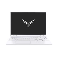 VULCAN NX ARCTIC EDITION (i7-14650HX + RTX4060)