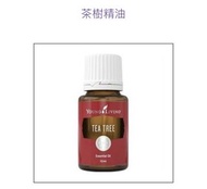 茶樹精油 tea tree