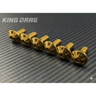 KINGDRAG M6x15 CONSOLE SCREW