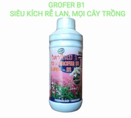 Grofer B1 - 1 lít Phân bón lá kích rễ rất hiệu quả lưu dẫn phân bón