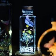 單隻蝴蝶浮游花小夜燈 永生花小夜燈 生日禮物
