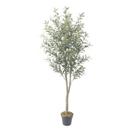 Premium Artificial Olive Plant tree/ Pokok Zaitun Hiasan dalam rumah pejabat outdoor Tiruan 180cm